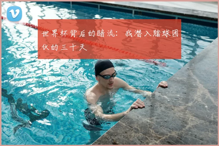 世界杯背后的暗流：我潜入赌球团伙的三十天