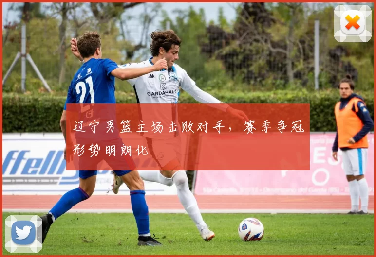 辽宁男篮主场击败对手，赛季争冠形势明朗化