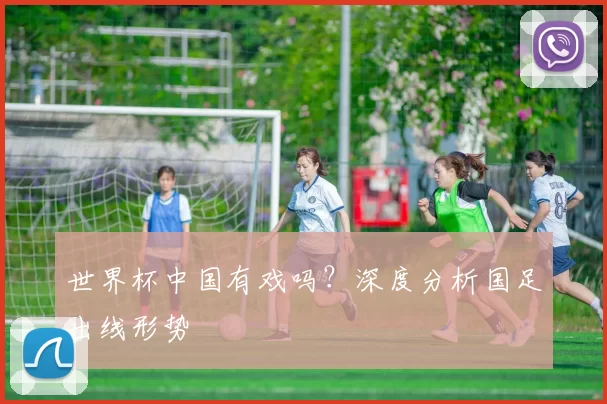 世界杯中国有戏吗?深度分析国足出线形势
