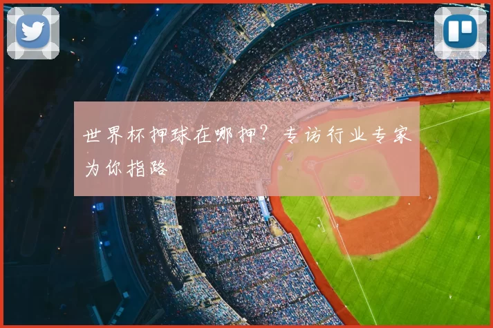 世界杯押球在哪押？专访行业专家为你指路