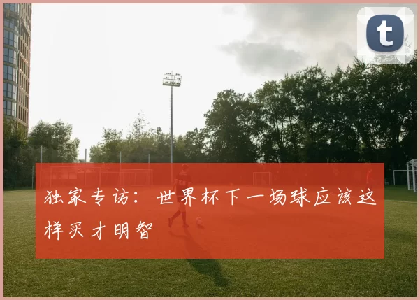 独家专访:世界杯下一场球应该这样买才明智