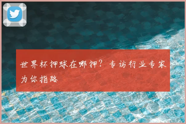 世界杯押球在哪押?专访行业专家为你指路