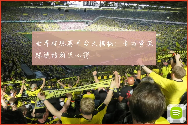 世界杯观赛平台大揭秘：专访资深球迷的购买心得