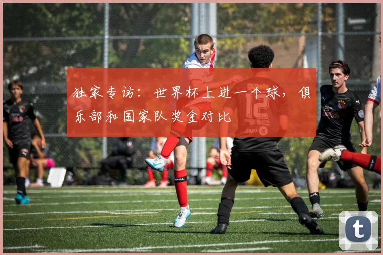 独家专访：世界杯上进一个球，俱乐部和国家队奖金对比