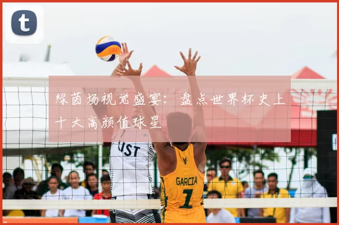 绿茵场视觉盛宴：盘点世界杯史上十大高颜值球星