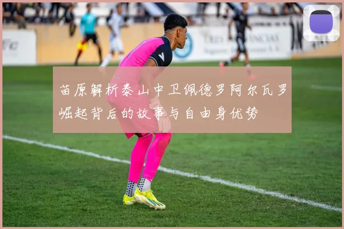 苗原解析泰山中卫佩德罗阿尔瓦罗崛起背后的故事与自由身优势