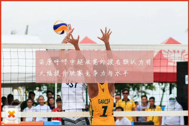 苗原呼吁中超放宽外援名额认为将大幅提升联赛竞争力与水平