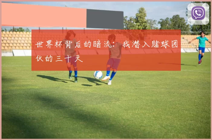 世界杯背后的暗流：我潜入赌球团伙的三十天
